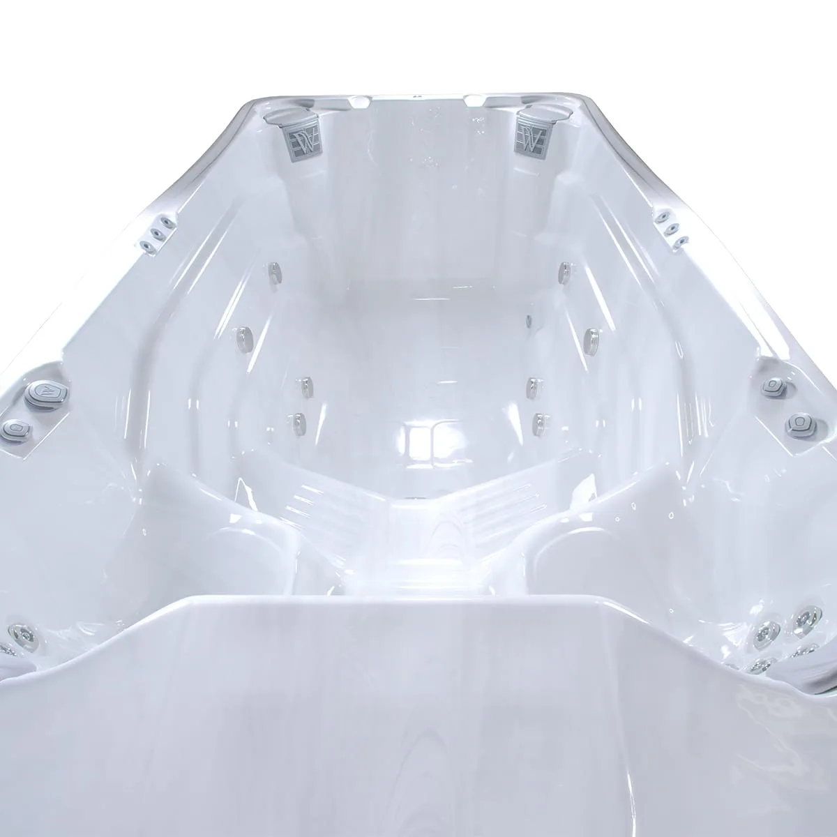 Плавательный спа бассейн Wellis Danube W-Flow (рис.1)